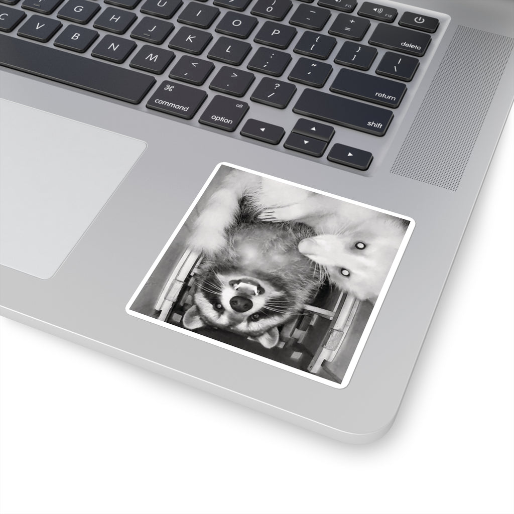 Sanchez the Raccoon | Sticker Collection