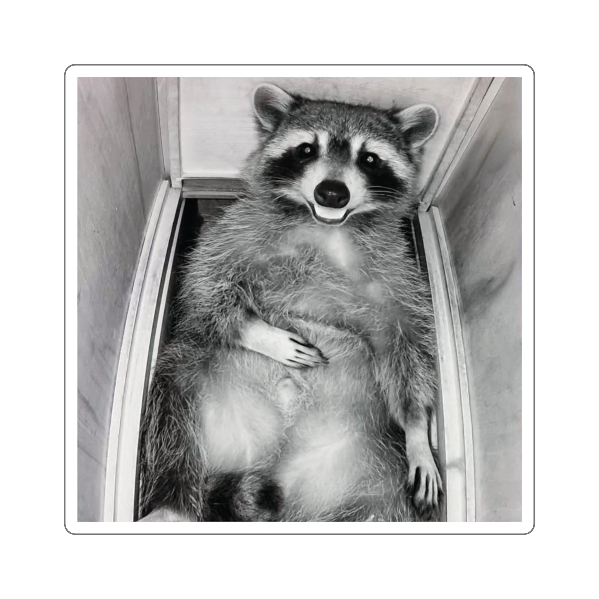 Sanchez the Raccoon | Sticker Collection
