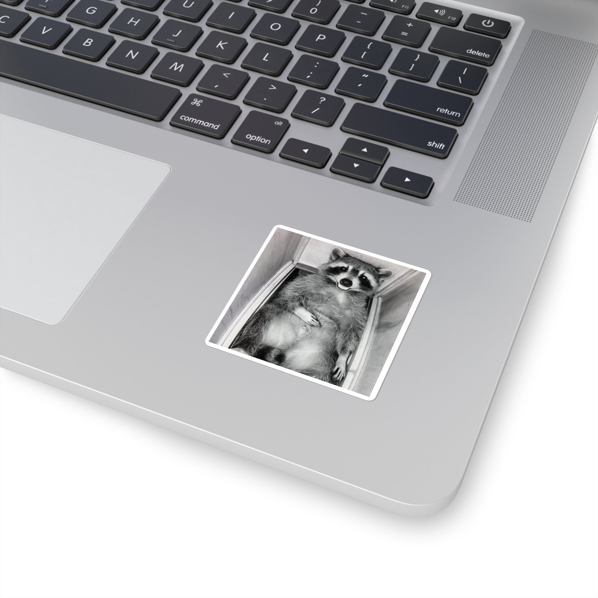 Sanchez the Raccoon | Sticker Collection