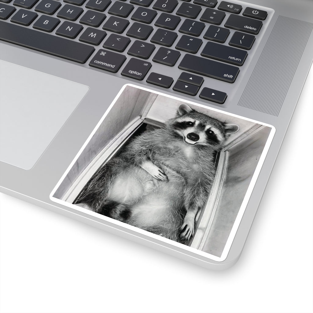 Sanchez the Raccoon | Sticker Collection