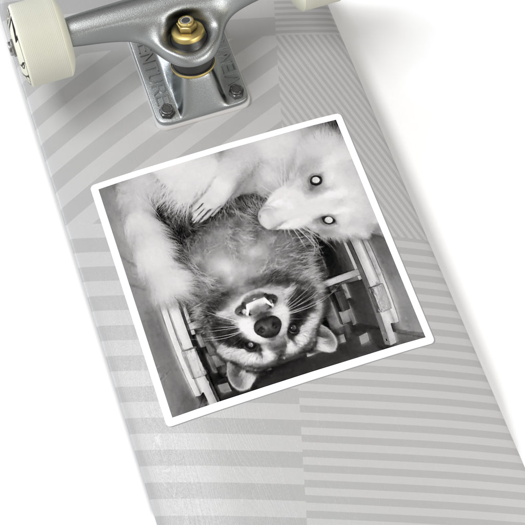 Sanchez the Raccoon | Sticker Collection