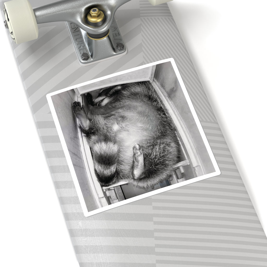 Sanchez the Raccoon | Sticker Collection