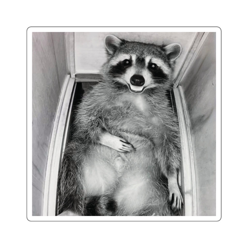 Sanchez the Raccoon | Sticker Collection