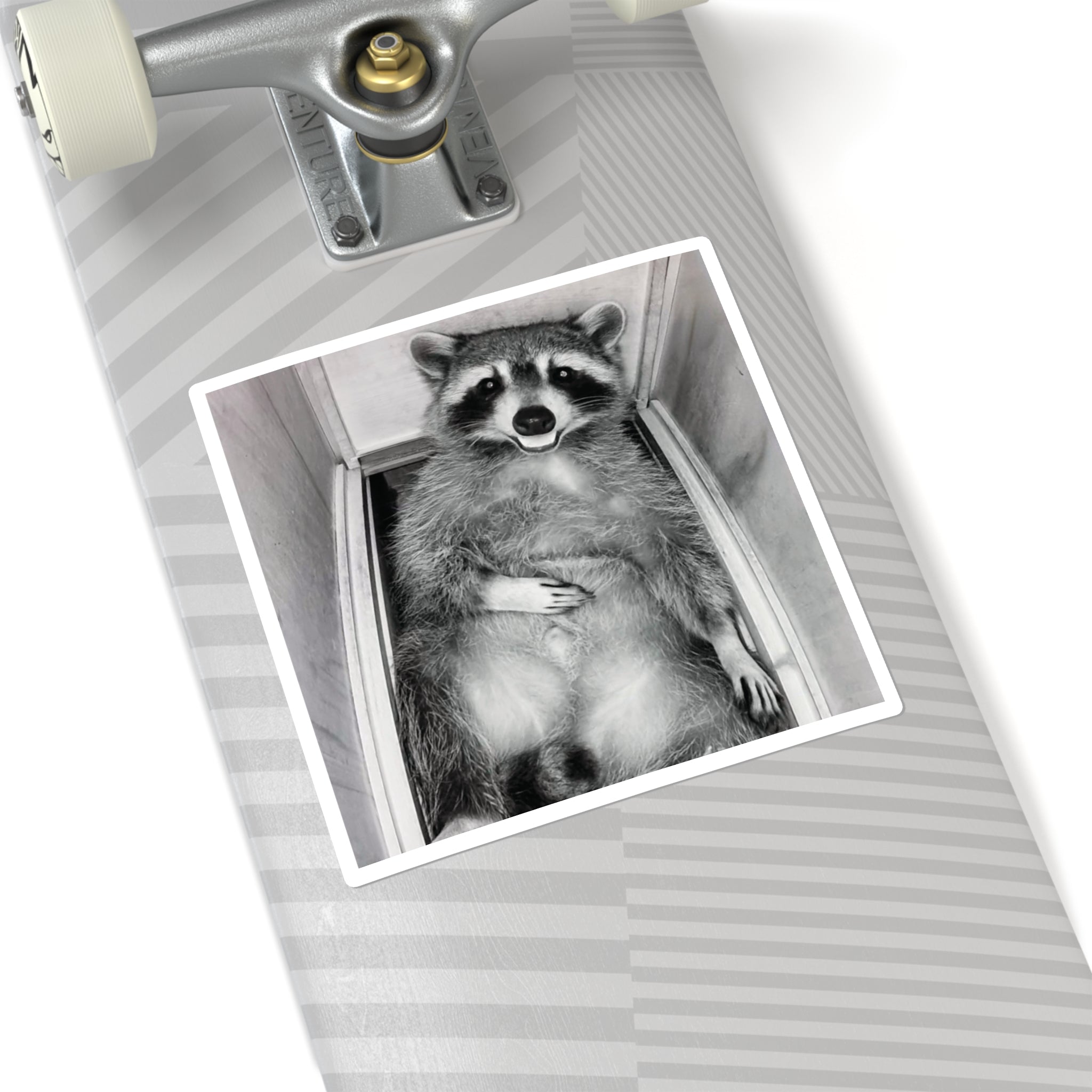 Sanchez the Raccoon | Sticker Collection