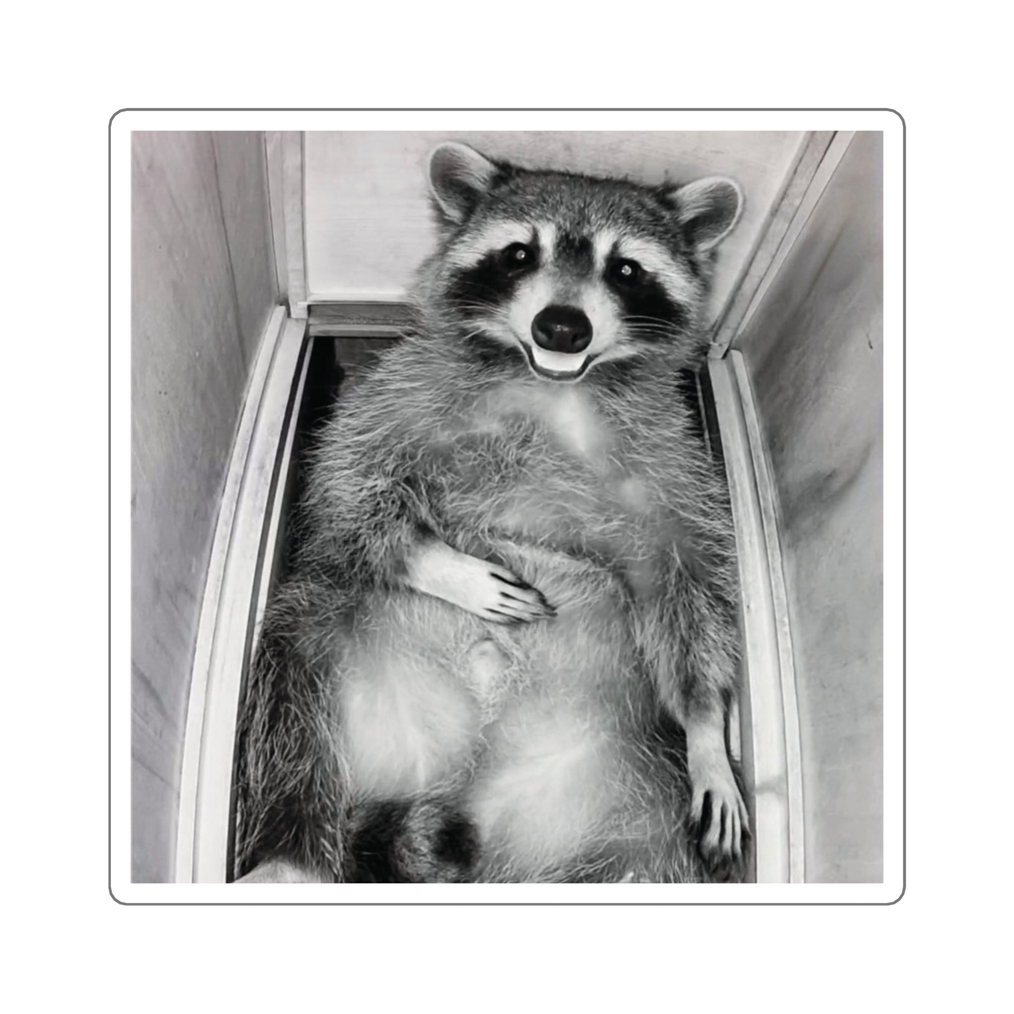 Sanchez the Raccoon | Sticker Collection